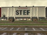 Stef.jpg
