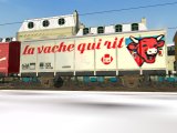 Vache.jpg